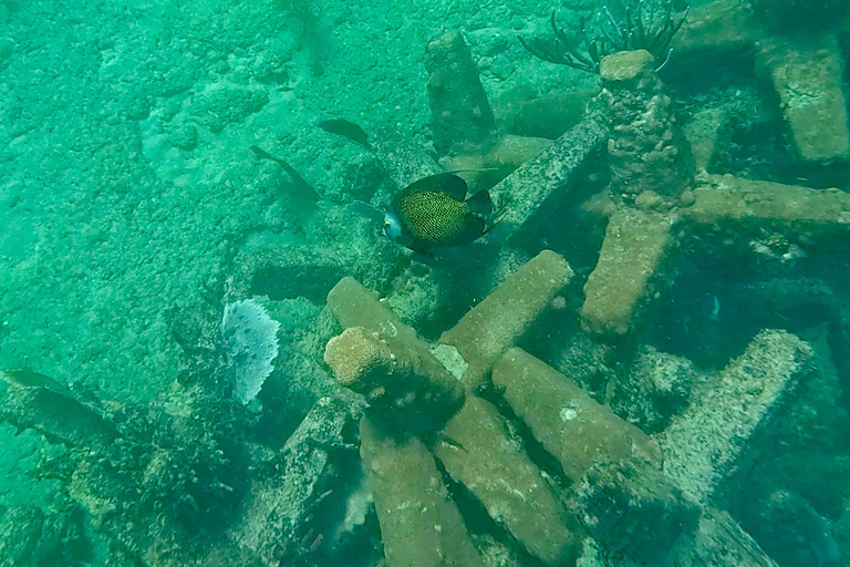 Fort Lauderdale: Ocean Reef Snorkel Tour w/ Snacks & Drinks