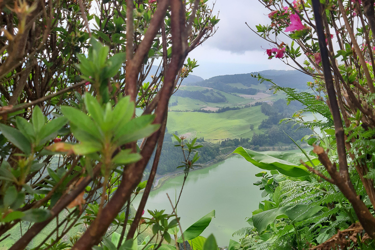 São Miguel: Excursão de 1 dia ao icônico Vulcão das Furnas e ao Nordeste