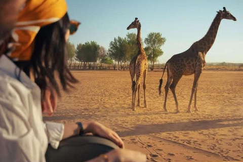Riyad : visite privée du parc animalier NofaRiyad : visite privée du parc animalier Nofa Wildlife Park Safari
