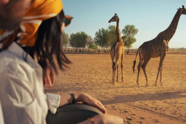 利雅得：诺法野生动物园私人Safari之旅利雅得：诺法野生动物园私人游猎之旅