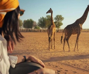 Riyadh: Nofa Wildlife Park Safari Private Tour