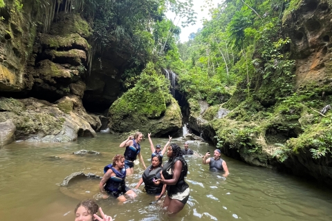 Puerto Rico: Taino & Waldhöhlen Versteckter Wasserfall Abenteuer