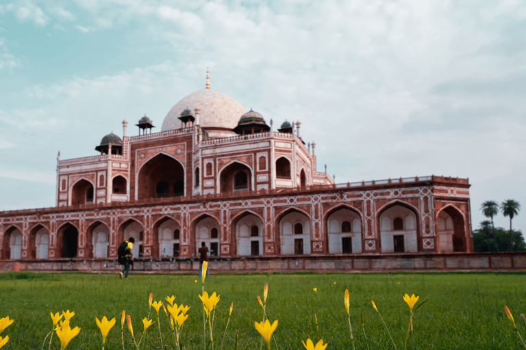 Delhi: tour guidato della vecchia e della nuova Delhi di una giornata intera o di mezza giornataTour di mezza giornata di Nuova Delhi (4 ore)