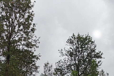 Kandy: Tea estate Factory & Waterfalls, Ambuluwawa tour