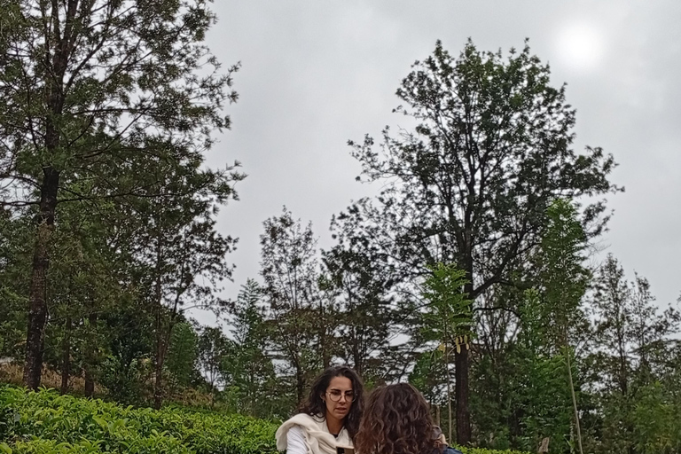 Kandy: Tea estate Factory & Waterfalls, Ambuluwawa tour