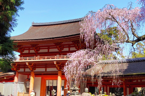 From Osaka: Nara 6 World Heritage Sites Day Tour with Guide