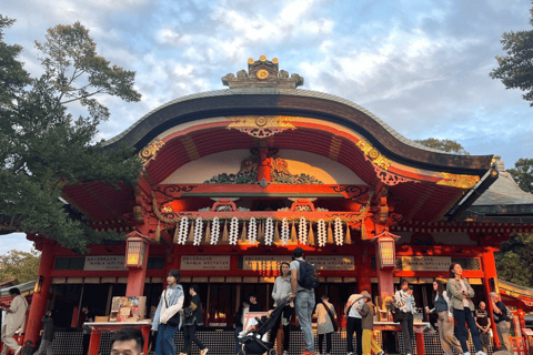 Tour particular a Nara e Inari com guia de turismo em espanhol