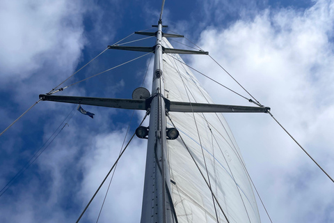 Gothenburg: Overnight Sailing Trip to Vinga Island