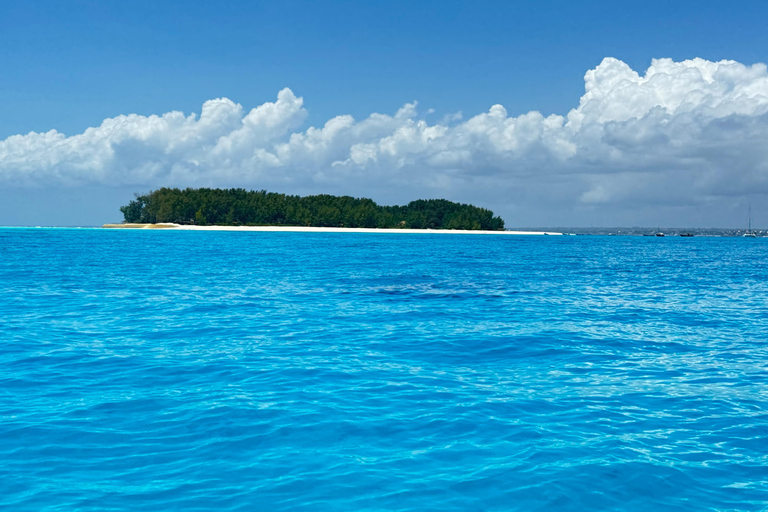 Sansibar: Mnemba Island Delphine &amp; Schnorcheln | MITTAGESSENMnemba Island Schnorcheln | SHARING - Ganztagestour