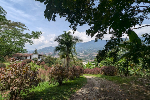 Medellín: Luxury Coffee Farm Tour with Tastings