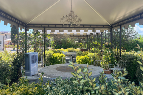 Florence: Pisa, Siena, & San Gimignano Day Trip with Lunch VIP SMALL GROUP