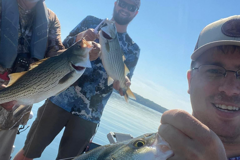 ناشفيل: رحلة صيد سمك القاروص الهجين والمخطط