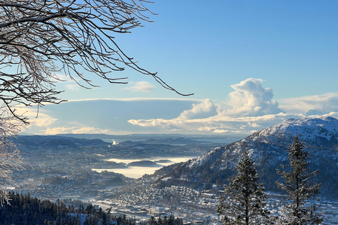 Winter Adventure - Snow Hiking