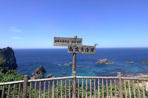 Sapporo: Shakotan Blue Coastal Day Tour with Guide