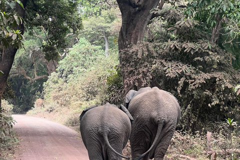 Tanzania: 8-Day Private Safari