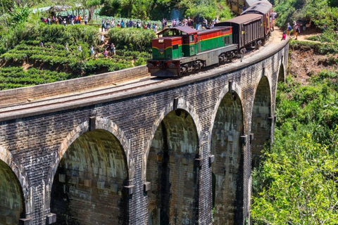 Ella: Ella Day Tour NineArch Bridge with Expert Female Guide Ella tour from Colombo, Negombo, Mt lavinia, Kalutara