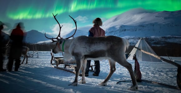 From Tromsø: Sami Culture, Northern Lights & Reindeer Visit