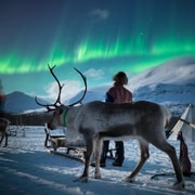 Depuis Tromsø : culture sami, aurores boréales et rennes