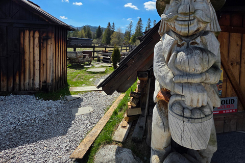Zakopane: Tatra Mountains Horseback Ride & Thermal Baths