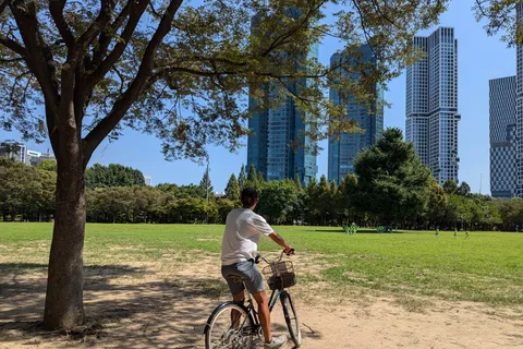 Seúl: Recorrido en Bicicleta por la Naturaleza Urbana a lo largo del río Han