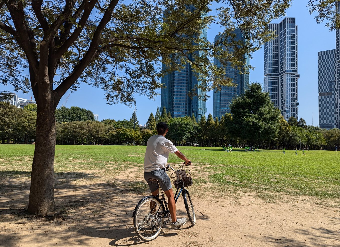 Seoul: Cykeltur i den urbane natur langs Han-floden