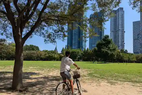 Seúl: Recorrido en Bicicleta por la Naturaleza Urbana a lo largo del río Han