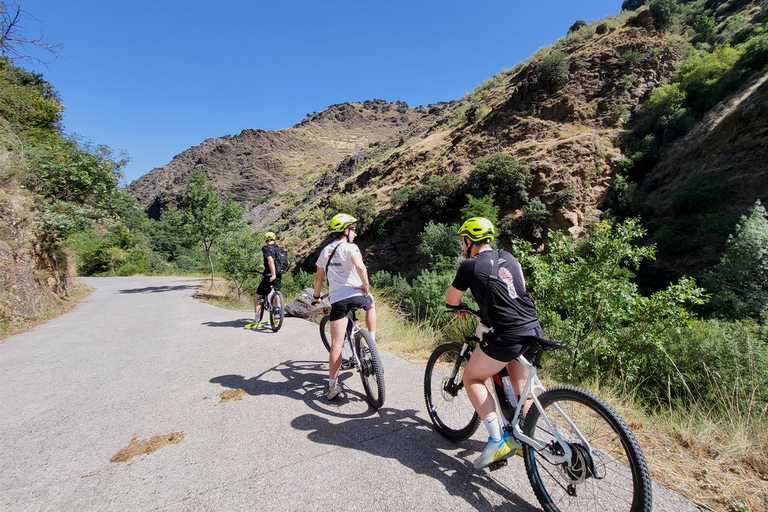 Von Granada aus: E-Bike-Tour durch Los Cahorros de Monachil