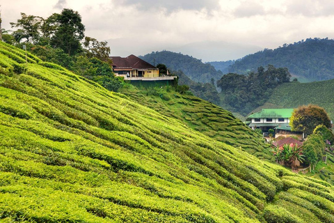 Sri Lanka : Circuit de 6 jours à Kandy, Nuwara Eliya, Bentota et Colombo