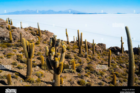 Excursión de varios días privada al Salar de Uyuni en Bolivia