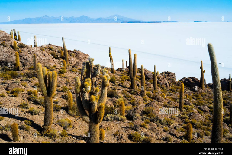 Excursión de varios días privada al Salar de Uyuni en Bolivia