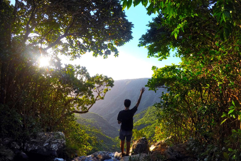 Maurício: Caminhada guiada ao Pico Black River com um guia local