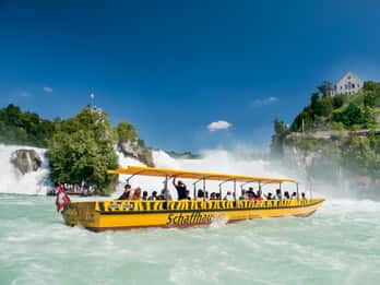 From Zurich: Rhine Falls Coach Tour