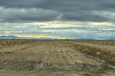 Arequipa: Transfer från Chivay till Puno med panoramautsikt och kulturell utsikt.