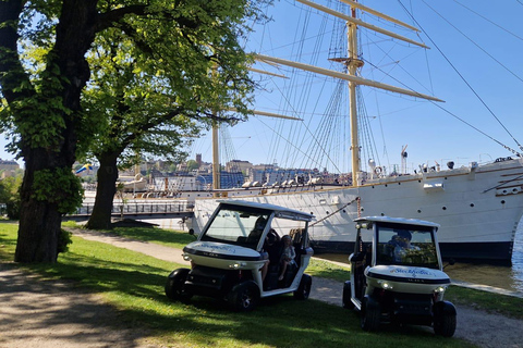 Stockholm Highlights by Private Golf Cart Tour Stockholm Higlights by Golf Cart 90 min