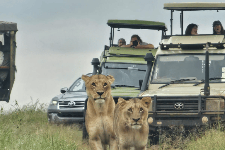 4 des Big Five Parc national de Nairobi Visite guidée d&#039;une demi-journéeConduite partagée pour le gibier