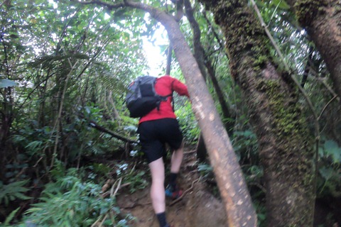 Kandy: Excursión de un Día a las Cascadas y la Aldea Local con Almuerzo