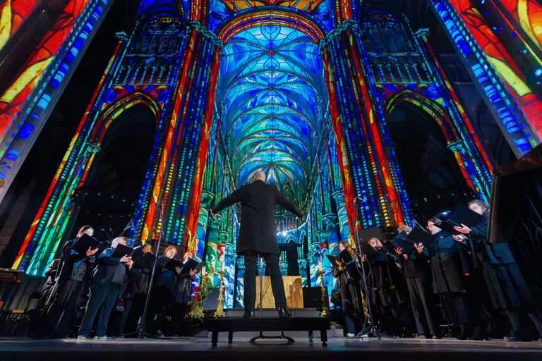 Brussels Cathedral: Immersive Sound and Light Show – Luminiscence Live Choir Version - Gold Category