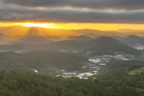 Dalat: Cloud Chasing packaged hike - Sunrise Pickup Included Group Packaged Tour - Free photo & video taken by tour guide