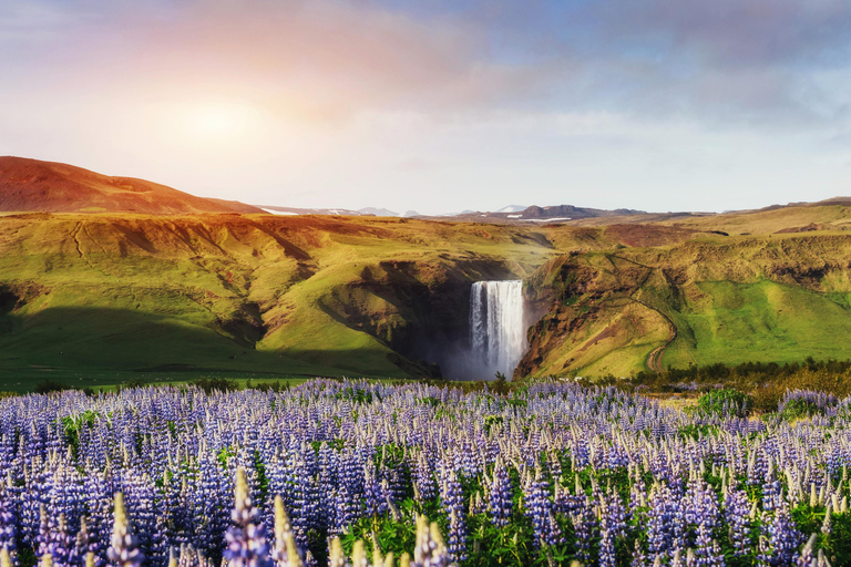 From Reykjavik: South Coast Waterfalls & Glacier Coach Tour Free pickup from Bus Stop #12
