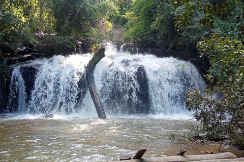 Chiang Mai: 2-dagars djungelvandring med elefantfarm och forsränning