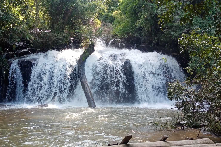 Chiang Mai: jungletocht, olifanten en verblijf in een bergstamdorpChiang Mai: tweedaagse jungletocht met verblijf in de bergstam