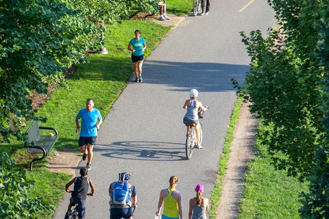 Visite guidée matinale de Kyoto avec un guide de la région - Découvrez un nouveau Kyoto.Visite guidée matinale de Kyoto avec un guide de la région - Découvrez un nouveau Kyot
