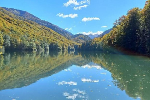 Montenegro: Biogradska Gora National Park Day Trip