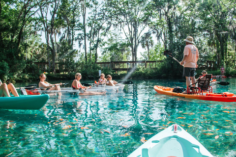 Crystal River: Three Sisters Spring Manatee Clear Kayak Tour