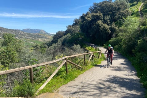 From Ronda: Cycling - Via Verde de la Sierra-Easy Difficulty From Ronda: Cycle the Via Verde de la Sierra