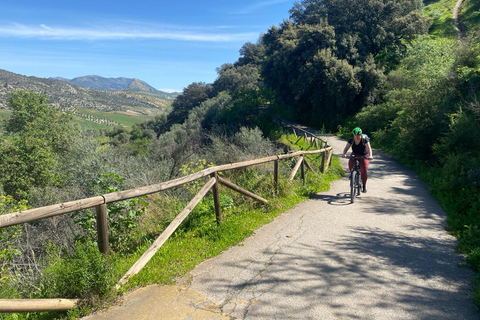 Depuis Ronda : Via Verde de la Sierra Easy Cycling Tour