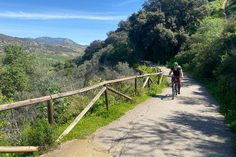 Desde Ronda: Ruta Ciclista Fácil Vía Verde de la Sierra