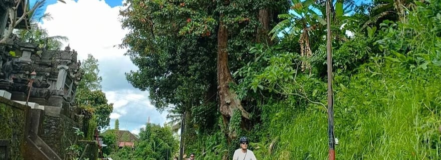 Ubud : visite en vélo électrique et balançoire à Bali