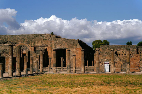 From Rome: Best of Pompeii Guided Tour and Sorrento day trip