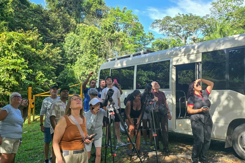 Panama: Tour dell'habitat della giungla delle scimmie e dei bradipi a Panama